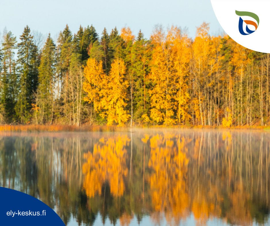 Jokien vedenkorkeudet ovat paikoin tavanomaista matalammalla niin Pohjois-Karjalassa kuin Pohjois-Savossa. Myös järvien vedenkorkeudet ovat paikoin poikkeuksellisen matalalla Pohjois-Pirkanmaalla, Pohjois-Karjalassa ja Kainuussa. 

Lue lisää aiheesta: vesi.fi/vesitilanne