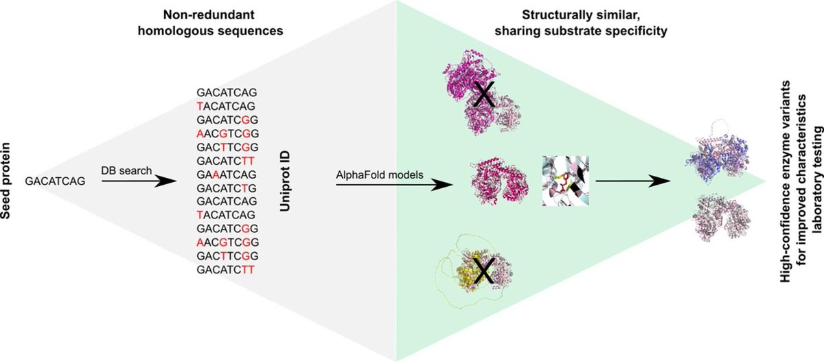 🧬 Can we trust AI to pick the next high-performance enzyme?

🔗 Structure-filtered search of enzyme variants. DOI: doi.org/10.1016/j.csbj…

📚 CSBJ: csbj.org

#ProteinEngineering #AlphaFold #EnzymeDiscovery #SyntheticBiology #StructuralBiology #AI  <a href="/CSB_Journal/">CSBJ</a>