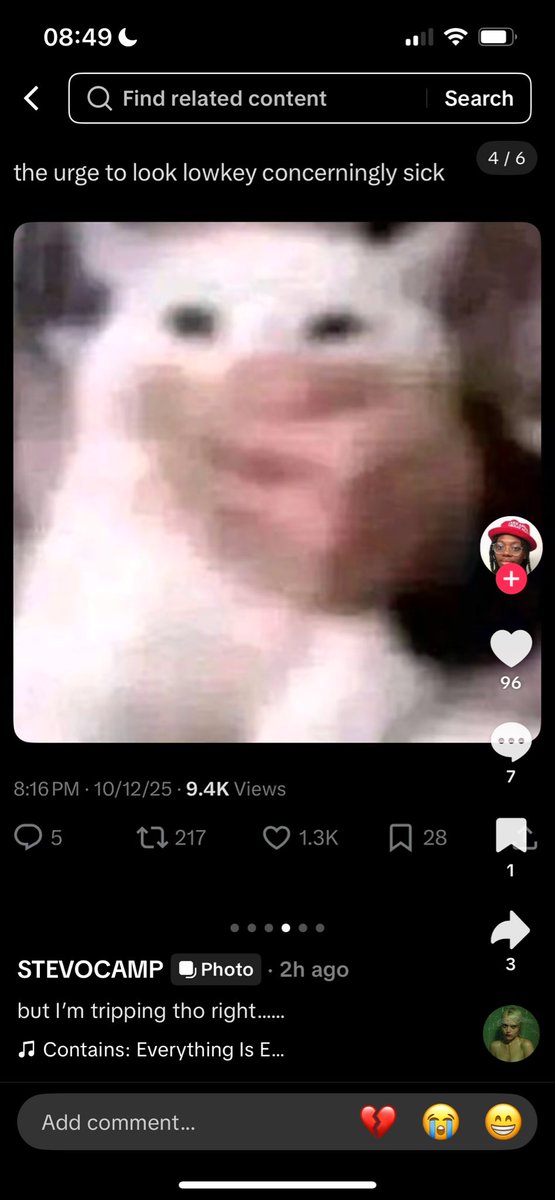 stasia is bittersweet ʚɞ 𑣿 tweet media