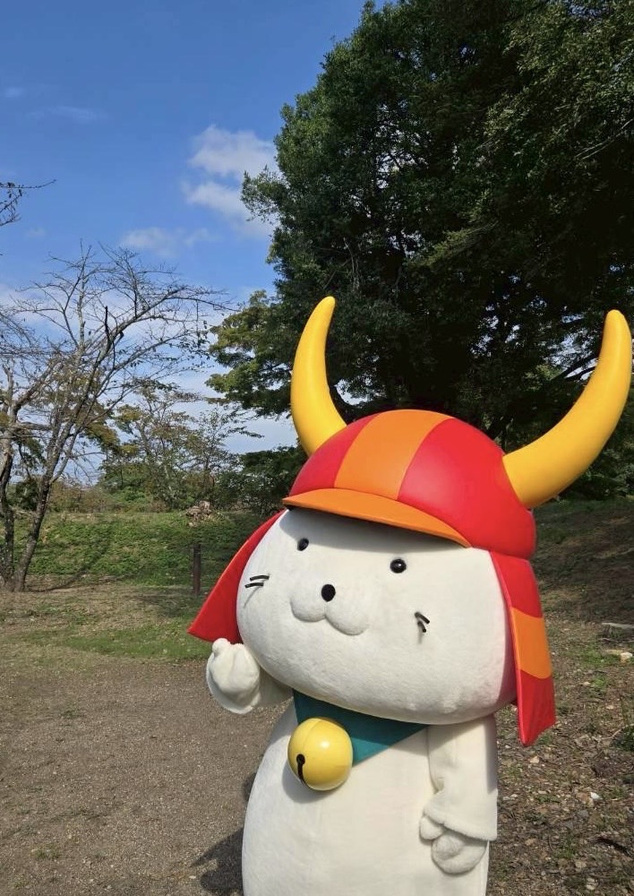 本日の #彦根 は秋晴れという言葉が似合うようなお天気で、#ひこにゃん