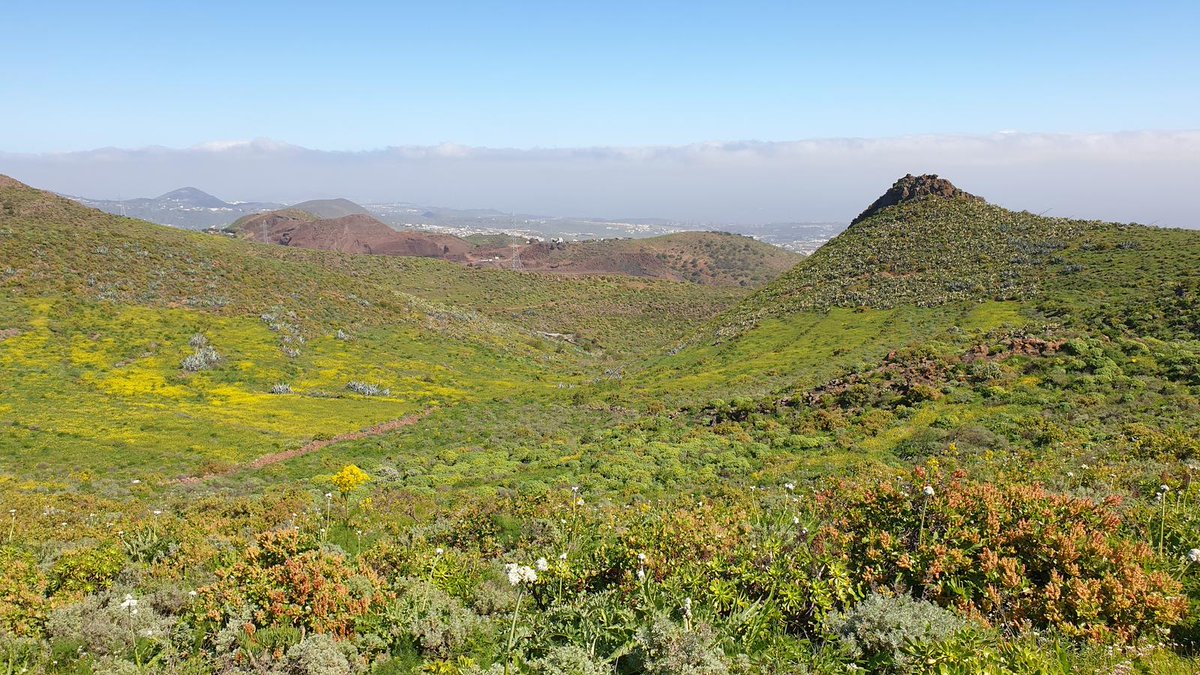 El Ayto. de Valleseco te organiza la 👣Ruta por los Volcanes de Rosiana el próximo 25 de octubre. Para apuntarte,  puedes llamar a l☎ 928618232.🌋🦎🌳