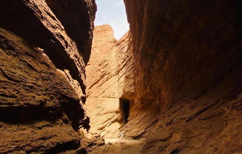 Lady Menopause Is Still Standing tweet media