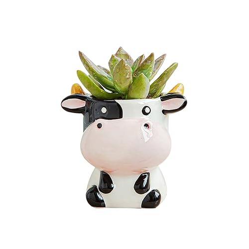 GoddessAlly999's tweet photo. I just received DIYOMR Cute Animal Ceramics Planter Small Succulent Pot Cartoon Shaped Plant Pot for Mini Plants Flower Cactus, Smooth Shiny Ceramic - Plants Not Included (Cow) - Cow from D London via Throne. Thank you! https://t.co/EzlDu3Wo6C #Wishlist #Throne https://t.co/XUh8KgHHyi