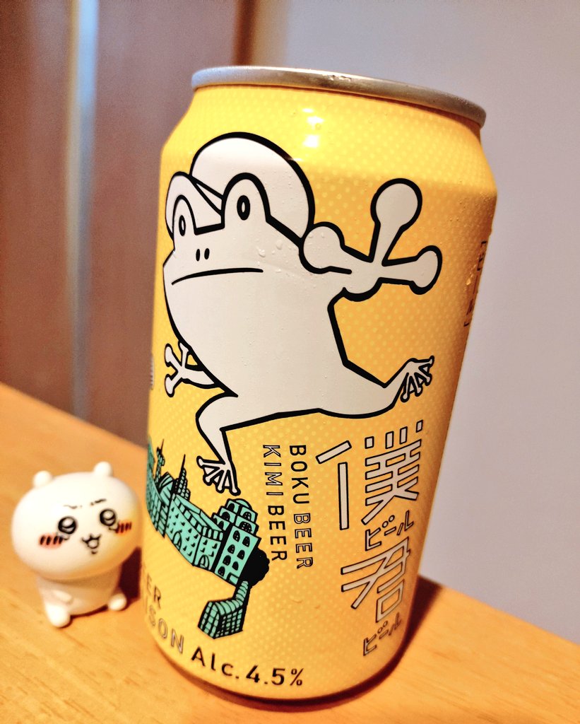 本日はこちら