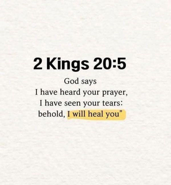 Holy__Bible1's tweet image. 
