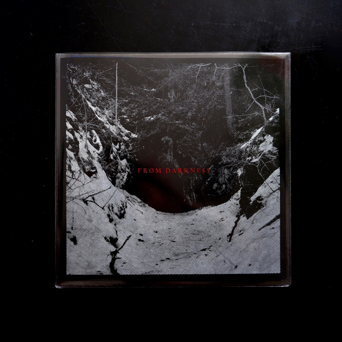 normanrecords's tweet image. JUST IN! 'From Darkness (Original Motion Picture Soundtrack)' by Erik K Skodvin

Tense and deeply atmospheric score from Deaf Center's Svarte Greiner to the Swedish horror film 'Ur Mörkret'.

@_knive
@_miasmah
normanrecords.com/records/211724…