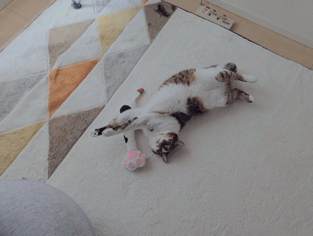 ただいま