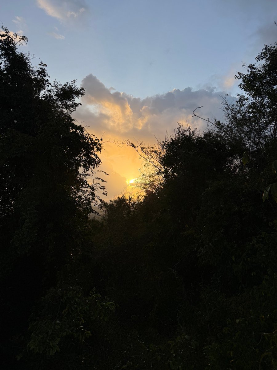 Violetotina's tweet image. I did a 10km hike this morning,caught the sunrise and had a Habpap 🥰
#Pugu #Hiker #fitbabe