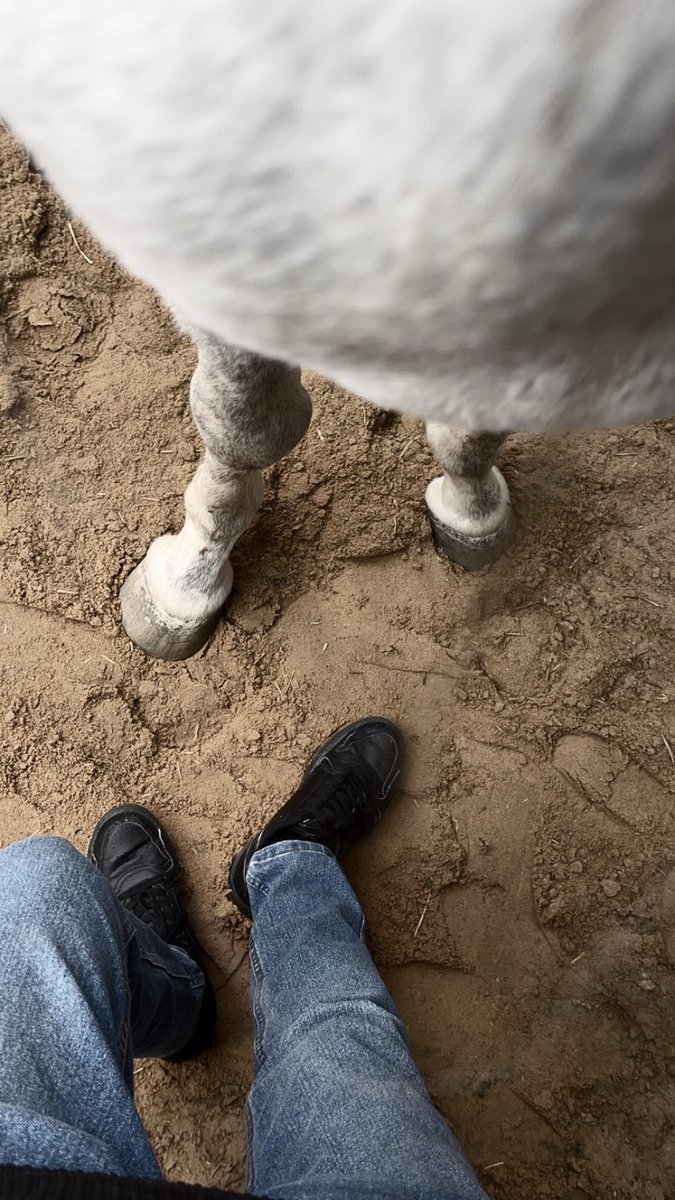 لا تقترب إذا احببت، بل أقترب حين تطمئن ..