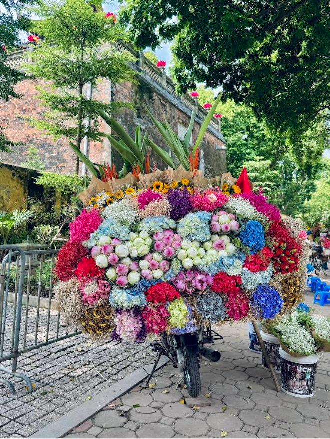 vietadvisor's tweet image. Hanoi Autumn: Phan Đình Phùng is a Vibe. ✨

It’s the quiet joy of walking under a golden canopy. Hear the bike bells, smell the hoa sữa, sip coffee. That&apos;s the real Hanoi.
Go early. Go slow. Feel it.
#HanoiVibes #PhanDinhPhung #VietnamExperience #GoldenAutumn