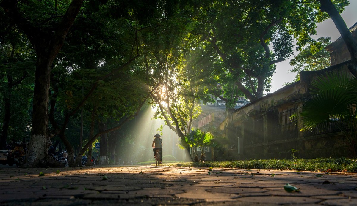 vietadvisor's tweet image. Hanoi Autumn: Phan Đình Phùng is a Vibe. ✨

It’s the quiet joy of walking under a golden canopy. Hear the bike bells, smell the hoa sữa, sip coffee. That&apos;s the real Hanoi.
Go early. Go slow. Feel it.
#HanoiVibes #PhanDinhPhung #VietnamExperience #GoldenAutumn