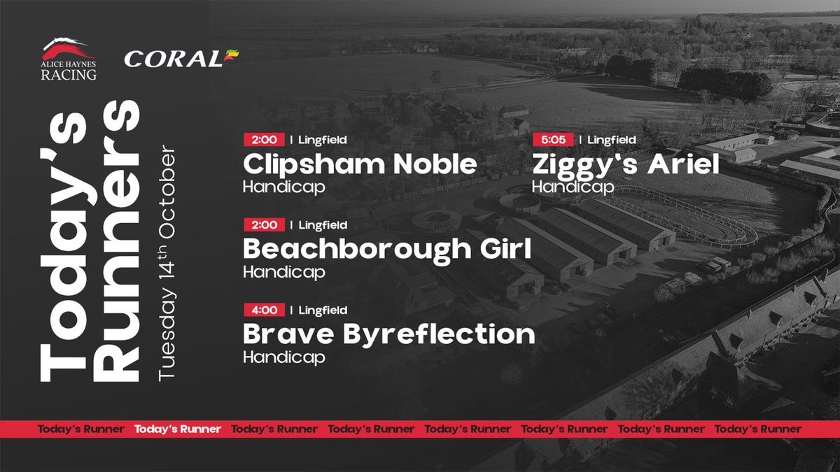 ahaynesracing's tweet photo. Four runners today 🏇

#AHTeam https://t.co/SvRL4gbriP