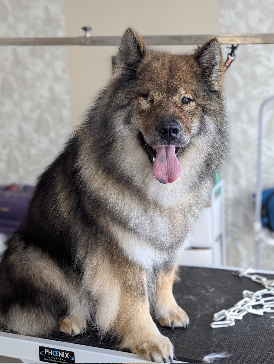 Marine 🍁 tweet media