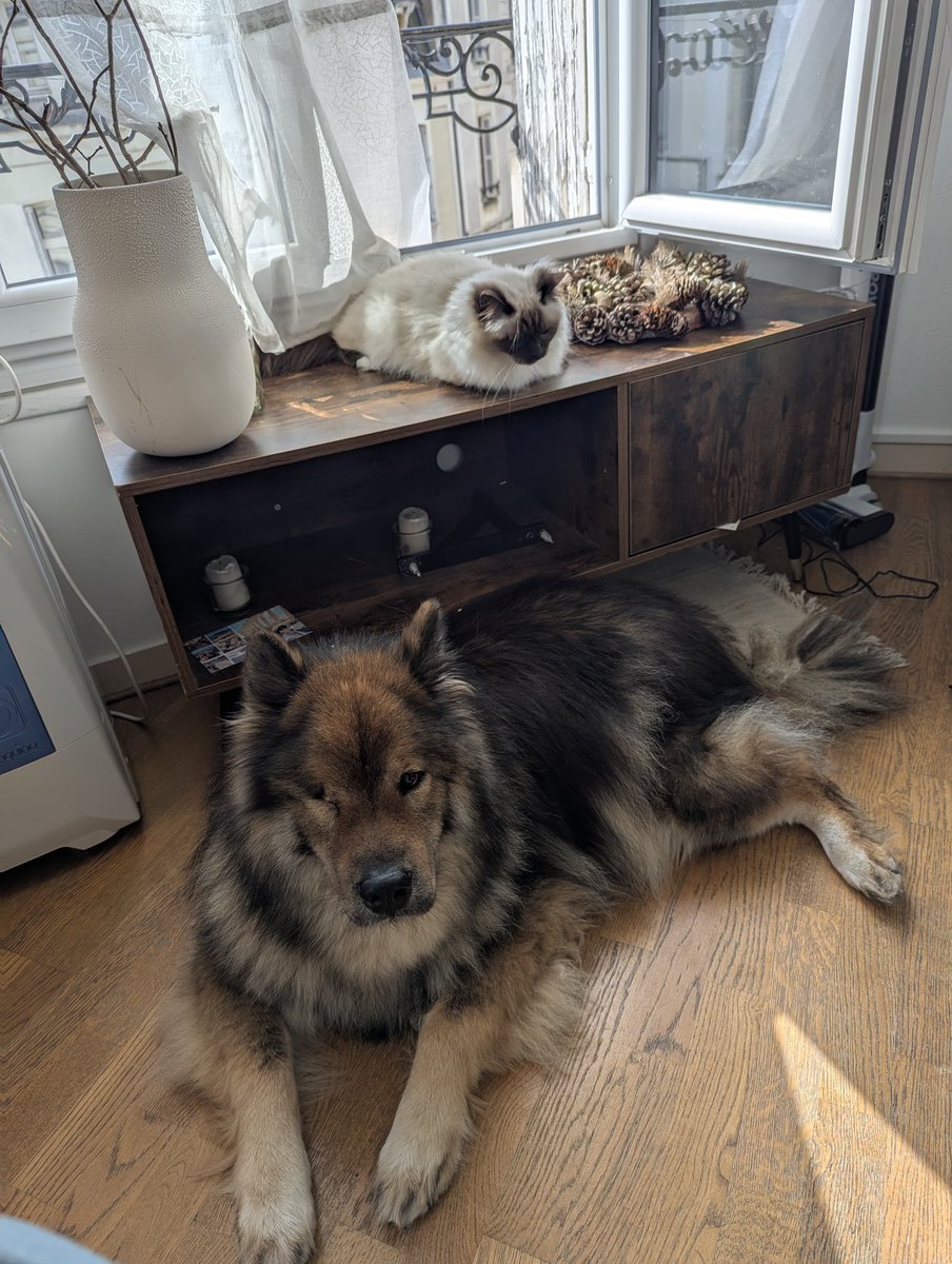 Marine 🍁 tweet media