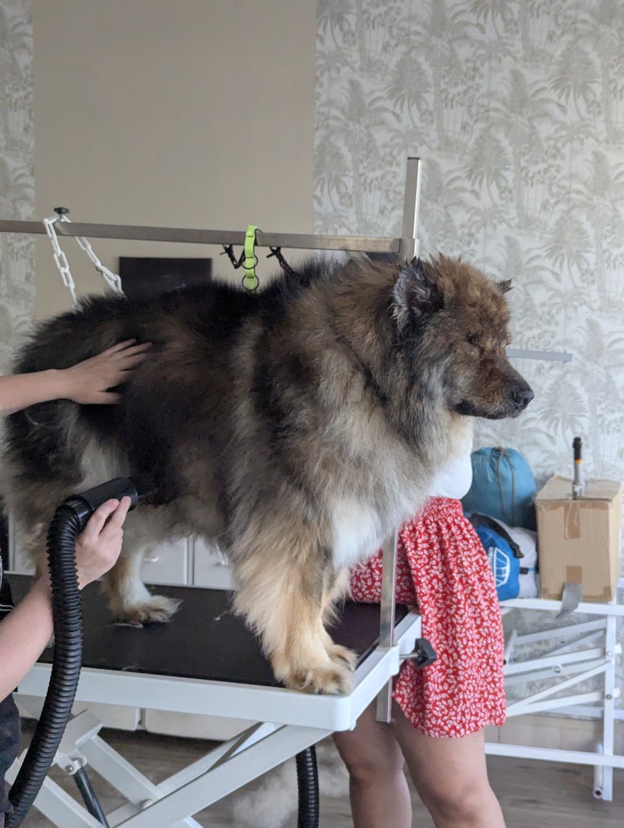 Marine 🍁 tweet media