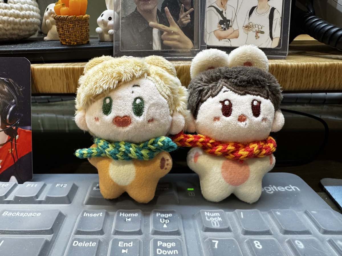 월동준비 시작!! ㅋㅋㅋ