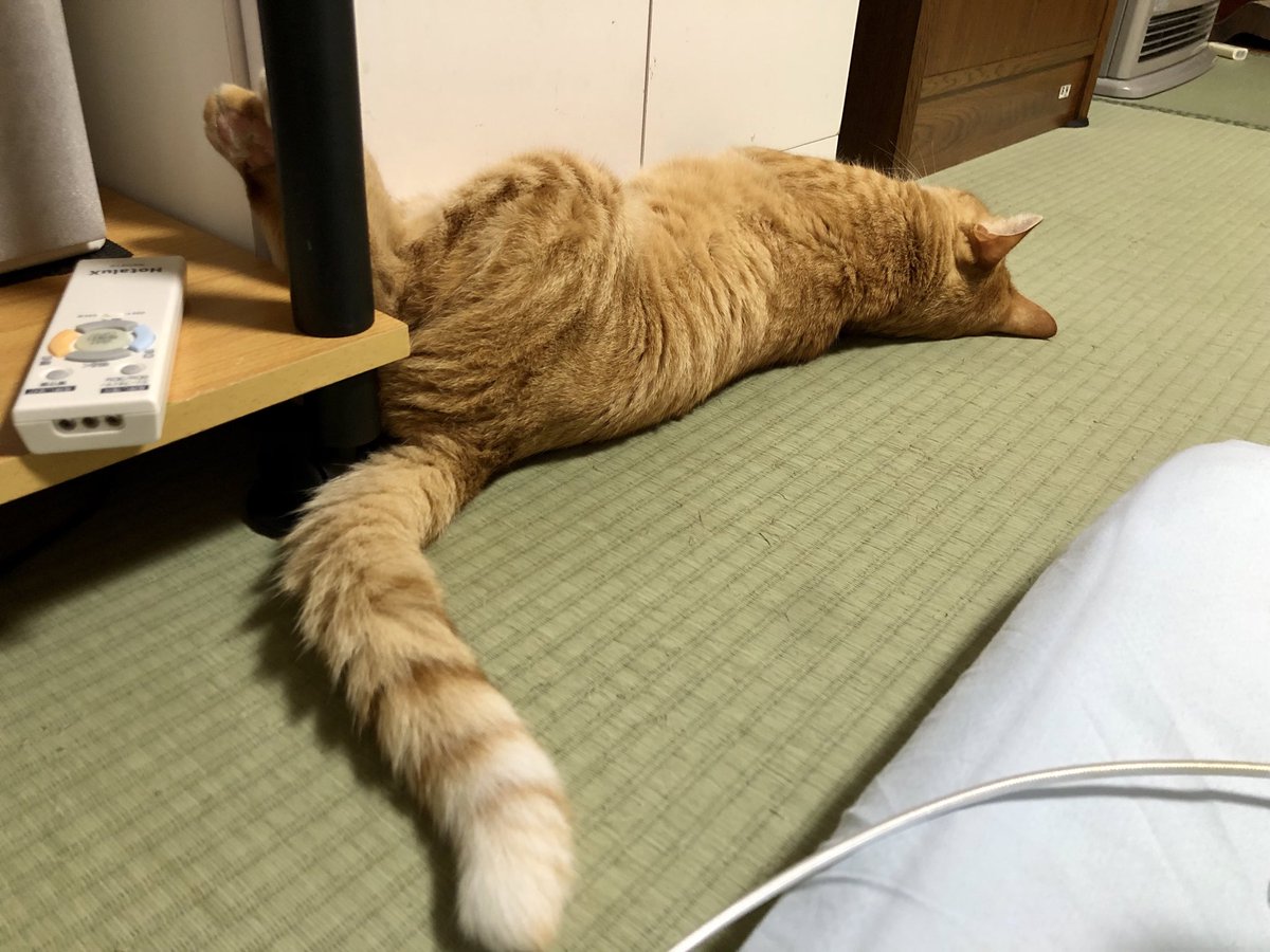 夜の景色II