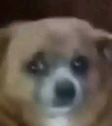 مش عارف ابطل اقول لكل ام طفلة جاية بأنيميا متشربوهاش شاي بس 
واحس بالإحراج بعدها