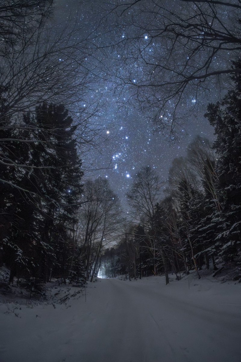 Orion ✨