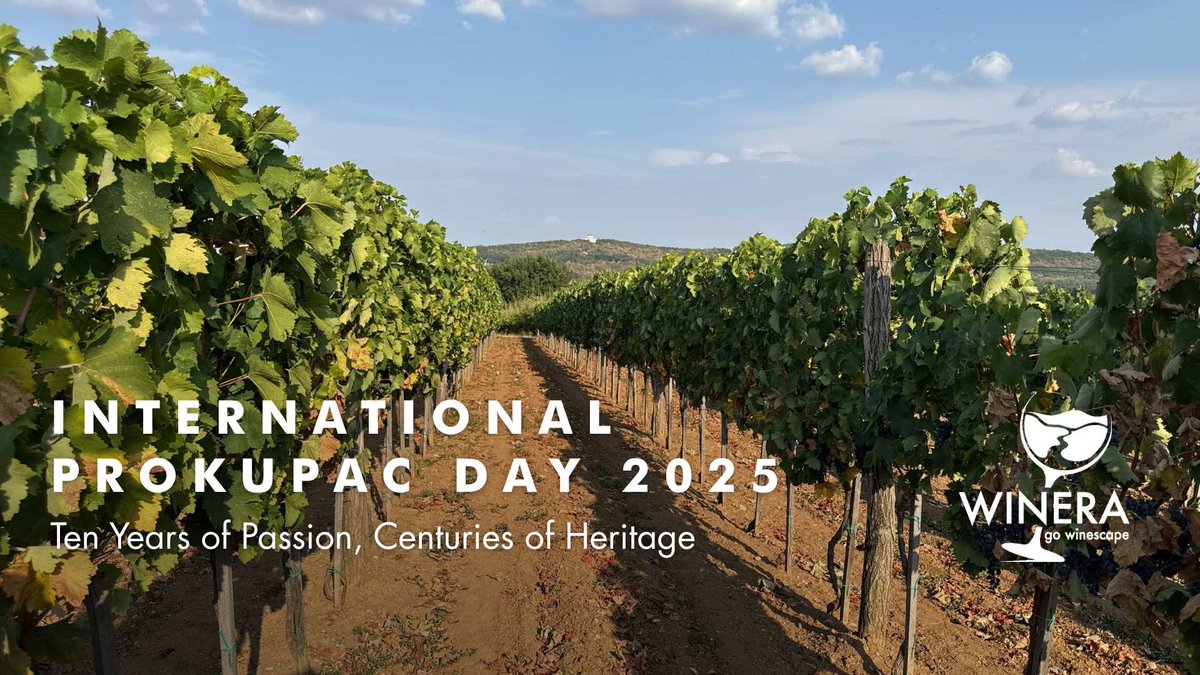 FishmongerSRB's tweet photo. International Prokupac Day, October 14th, 2025, marks a decade of celebrating #Serbia’s iconic native grape, Prokupac! ❤ 🍷
Read more: https://t.co/t1OIRPqJkL
#Winera #Travellier #wine #Prokupac #Прокупац #ДанПрокупца #DanProkupca #ProkupacDay #ProkupacDay2025 #WinesofSerbia https://t.co/wzEir2i0b6