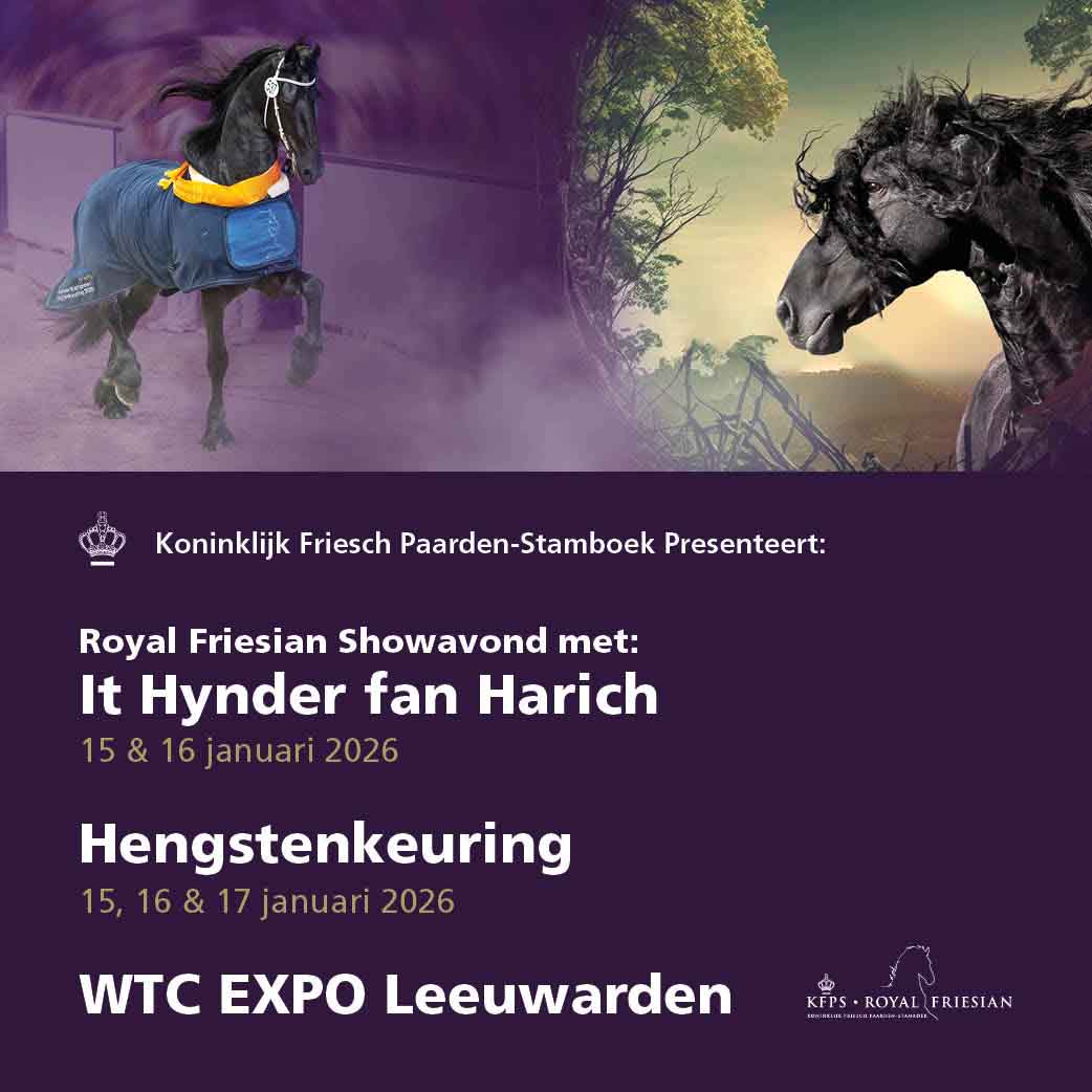 Ticketpoint's tweet image. ⏰ Morgen om 09:00 start de kaartverkoop voor de Hengstenkeuring 2026 &amp;amp; It Hynder fan Harich! Friese trots, emotie en spektakel. 🐴🎭
#hengstenkeuring #friespaard #ithynderfanharich #kfps #paardenspektakel #ticketpoint