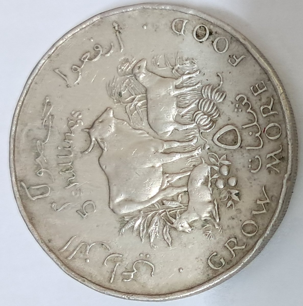 bashirahmed57's tweet image. Somalia Coins:
From the Horn of Africa, a call to prosperity
This 1970 Somali 5 Shillings coin told a nation’s story of growth 'Grow More Food' a timeless message of self-reliance and unity.
#Somalia #Coins #Numismatics #AfricanHistory #Collectibles #CoinCollectors"