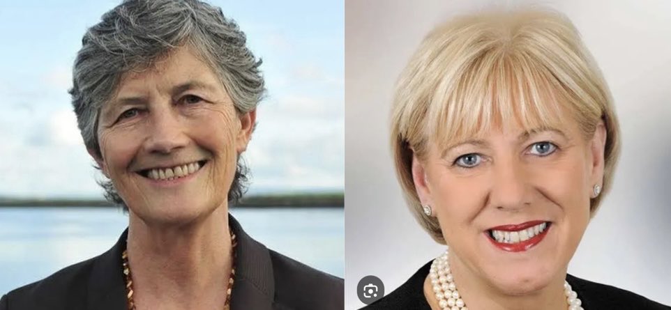It’s actually hilarious the amount of Humphreys supporters who who whinge “if you spoil the vote its a vote for Connolly” and the Connolly (mainly SF) who whinge “a spoiled vote is a vote for government” well neither candidate will represent my voice nor the voice of many people