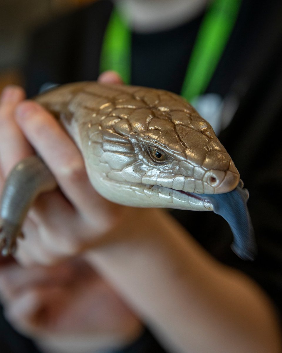 City of Portsmouth College tweet media