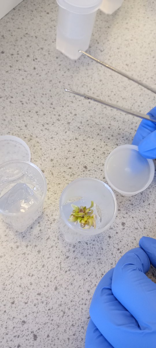 National Centre for Biotechnology Education tweet media