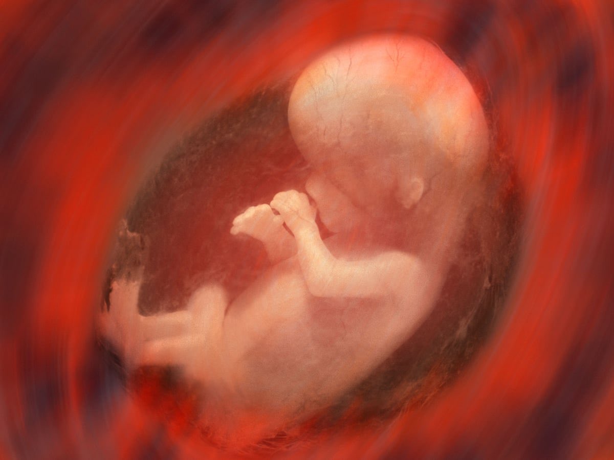 Que en pleno siglo XXI se siga considerando el aborto como método anticonceptivo sin más, sin razón alguna más que la decisión de una persona que ignora a esta altura de la película, cómo prevenir un embarazo y convertirlo en derecho nada menos, no lo veo.

#InDubioProNasciturus