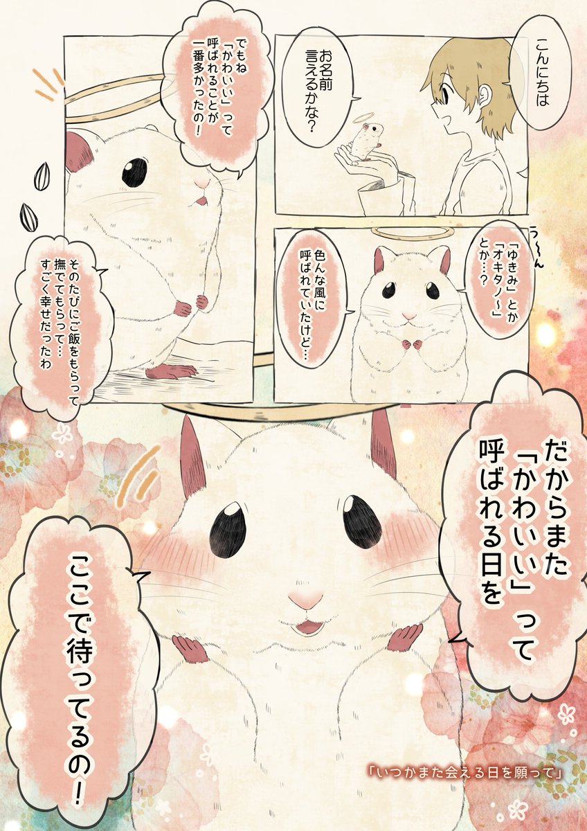 自分の名前を勘違いしているハムスター 