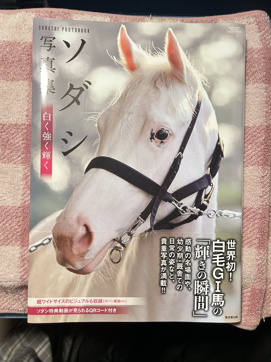 🎉豪華プレゼントキャンペーン実施中🎉 ＼ アイドルホース ソダシ