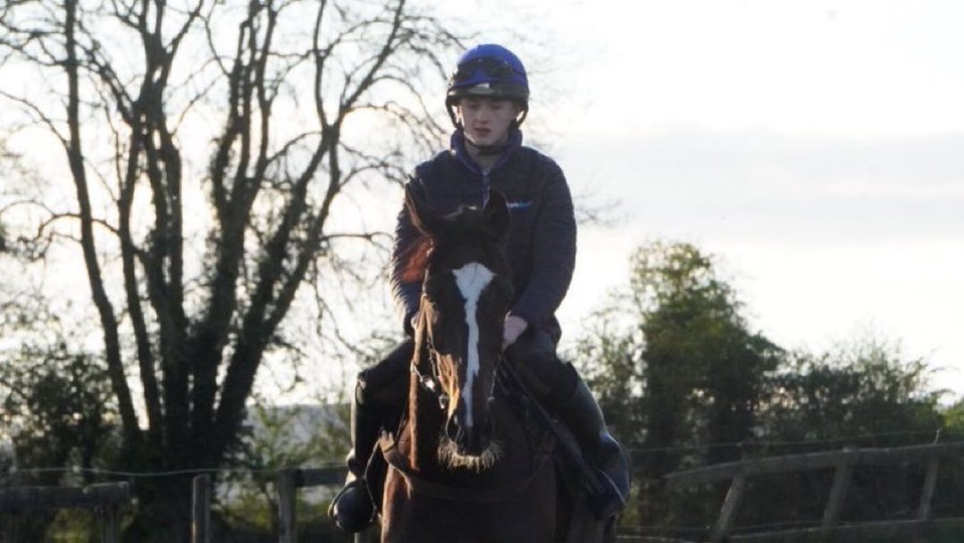 One runner today at <a href="/punchestownrace/">Punchestown</a> 

4:36 - Quest With Speed, pictured (<a href="/swflanagan7/">Sean Flanagan</a>)

Best of luck to connections