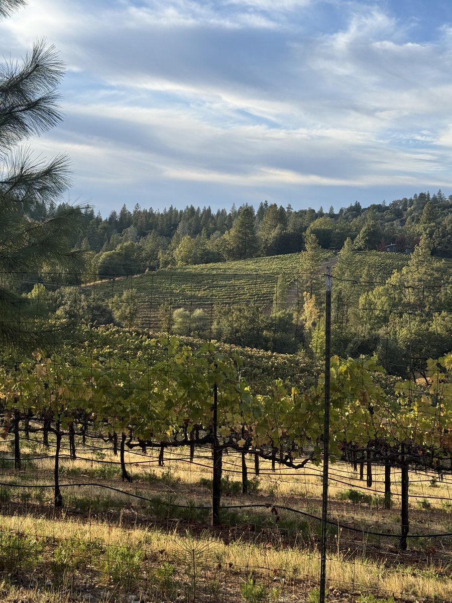 apple farms during pumpkin season