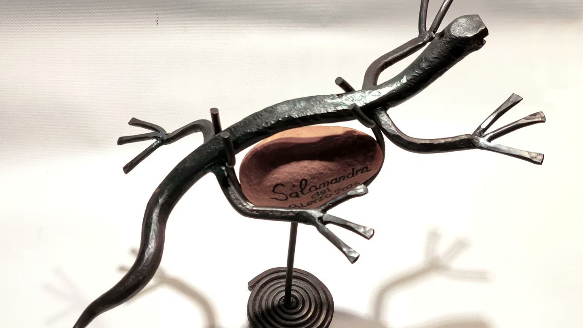 Atudebial entrega el Premio Salamandra del Bierzo 2025 a Oncobierzo
bierzotv.com/atudebial-entr…
<a href="/oncobierzo/">Oncobierzo</a>