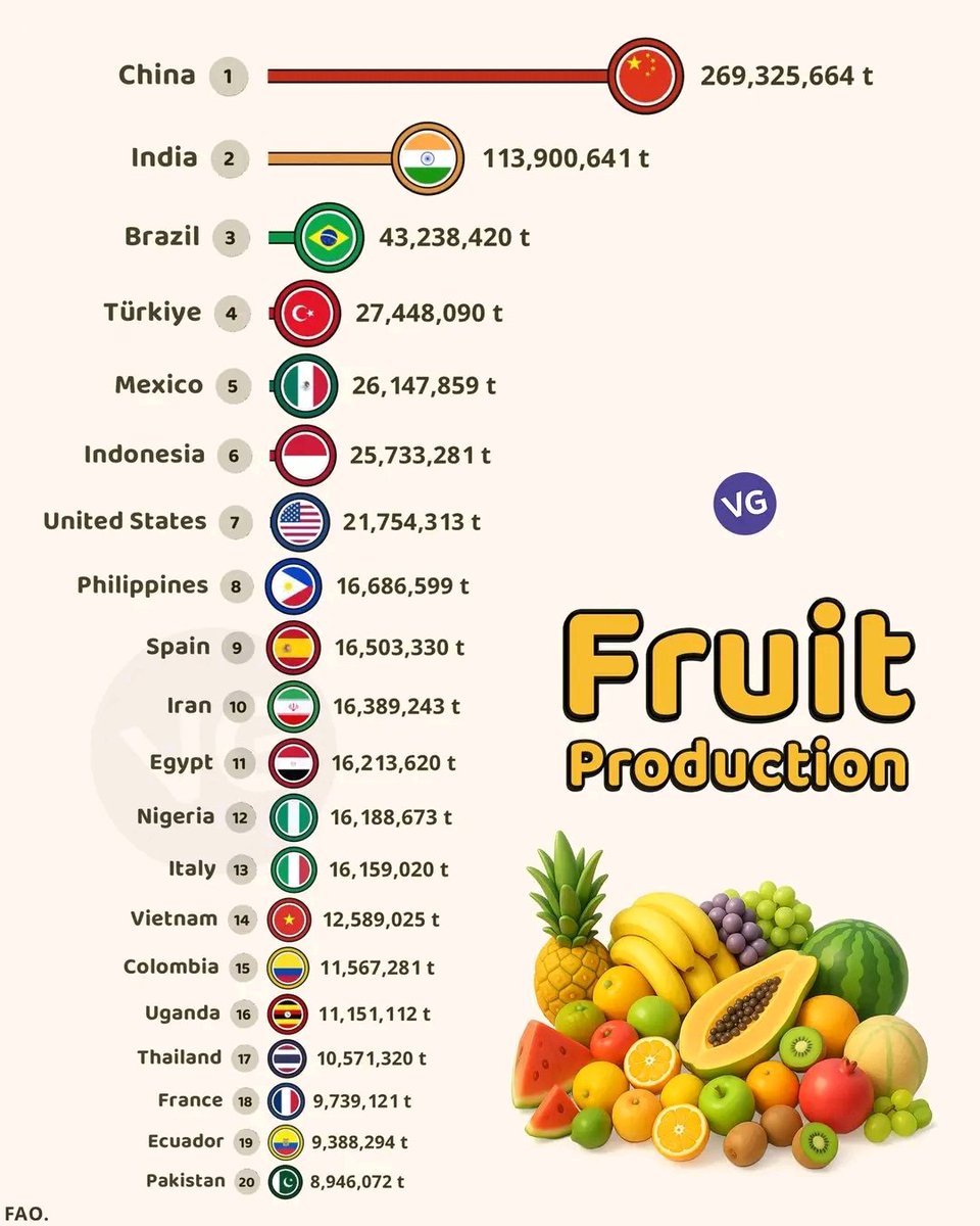 Scientist_elly1's tweet photo. According to FAO, China tops the world with 269M tonnes of fruits — more than double India’s 113M! 🇮🇳

🥉 Brazil, Türkiye, Mexico, &amp; Indonesia follow closely.
Africa’s pride: Nigeria (16M t) &amp; Uganda (11M t) make the top 20!

💬 Which fruit drives your country's economy? https://t.co/SThPt8QNhi