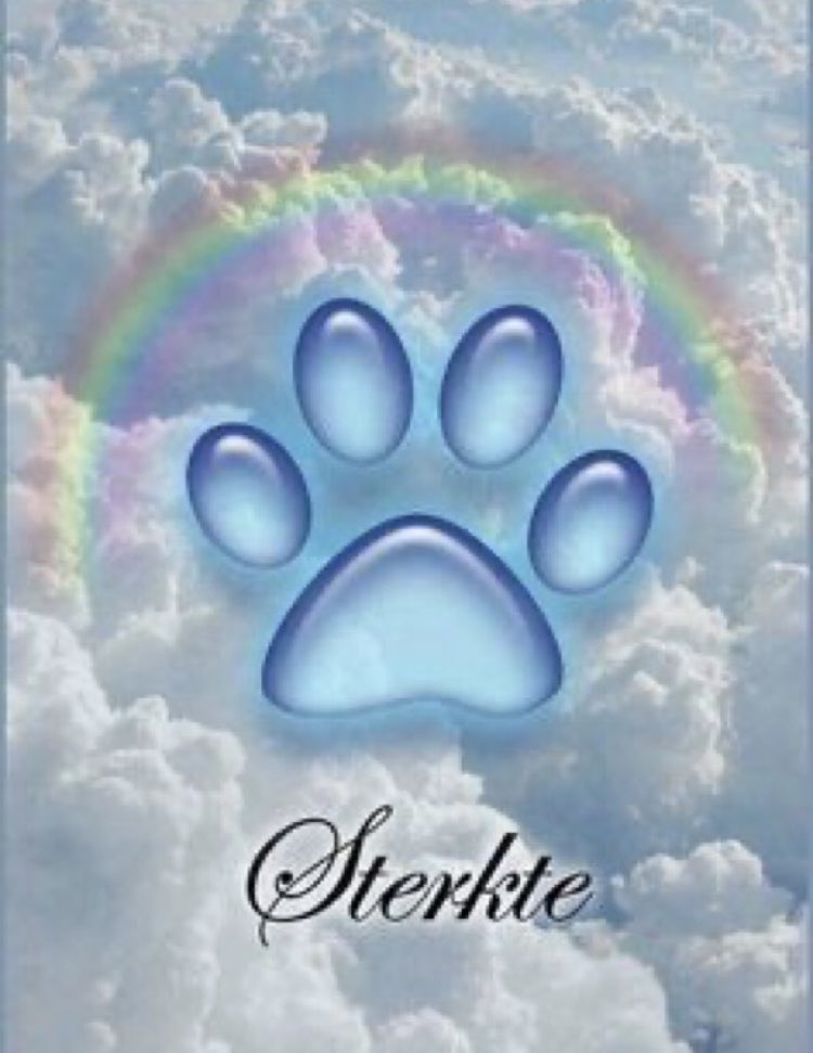 AnnStraate's tweet photo. @ShiningEllen Heel veel sterkte met jullie verlies ❤️🍀 Dikke steunknuffel https://t.co/dClgvf6vTB