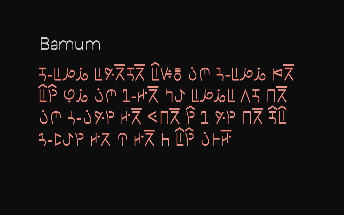 The Torsche 🔥 tweet media