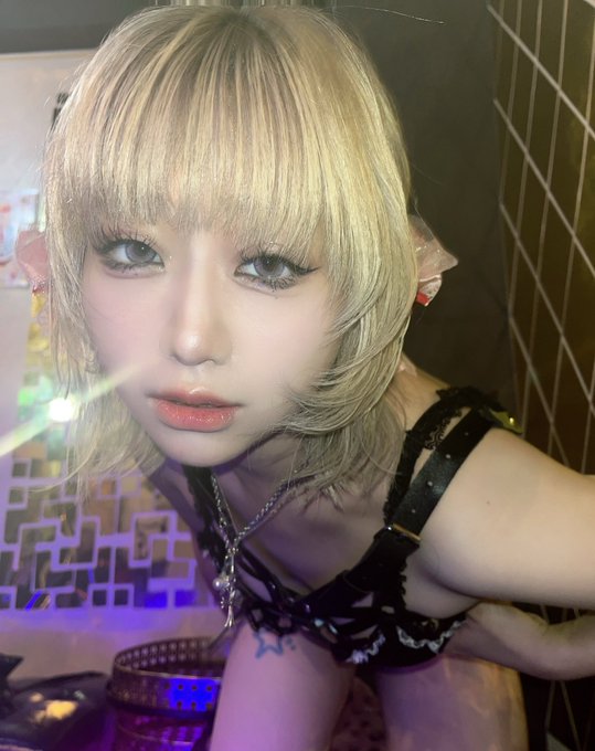Sweet Tripのツイート