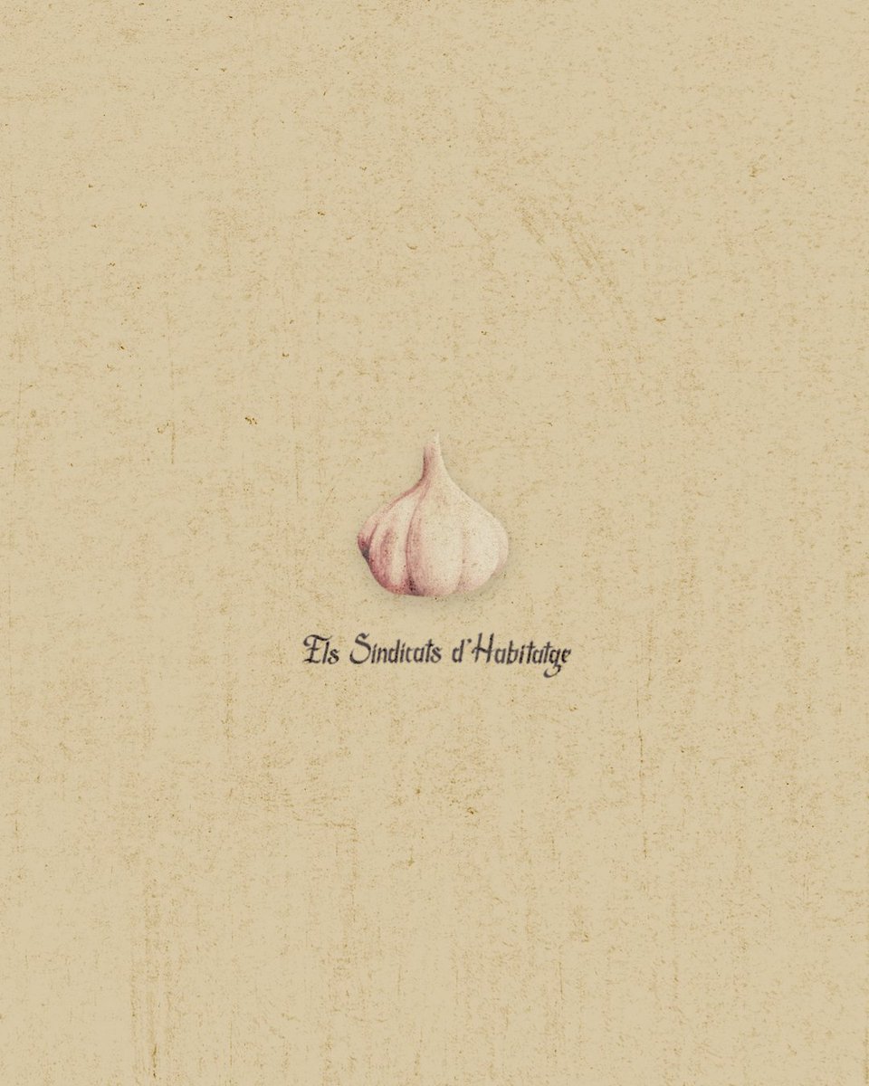 ens xuclarien fins a l'última gota de sang, però tenim el remei ✊🧄 #forçasindicat