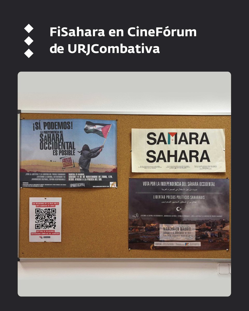 FiSahara tweet media