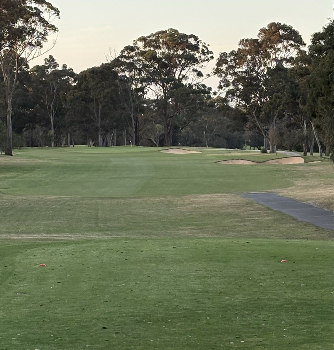 Mark Allen 🇦🇺 tweet media