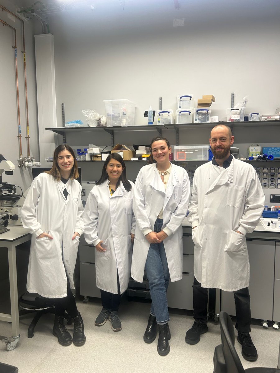 elveflow's tweet image. 🌍 Great day visiting Imperial College London 🇬🇧!
Our team met brilliant researchers across South Kensington, Hammersmith &amp;amp; White City campuses, exploring topics from synthetic cells to lung-on-chip models.
Proud to support their work! 🔬✨
#Microfluidics #Elveflow