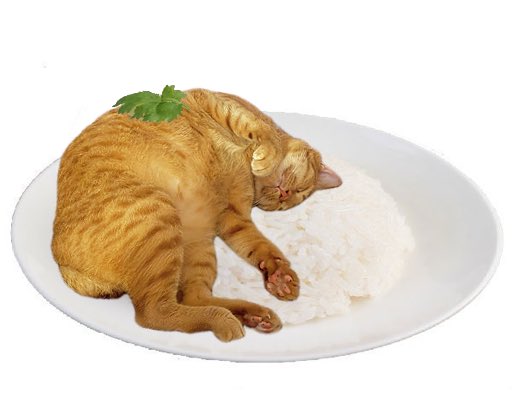 ข้าวไข่เจียวร้อนๆ