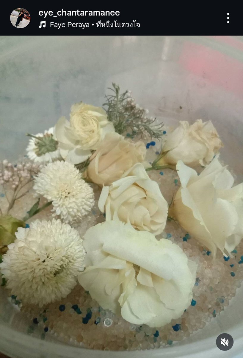 malilysorn's tweet image. Tears of happiness are streaming down my face 🥹 they’re so precious and i hope god always protects them gives them strength and surrounds them with endless blessings, love and safety 🧿
@Eyeeyeeyesss • @malisorn00
HBD PERAYA MALISORN
#สุขสันต์วันเกิดฝ้ายพีรญา
#FayePeraya