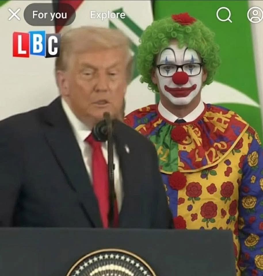 Halda1's tweet image. Troops Well done the DON superb put down yestd of lying #2TierKeir strummer and LIEbour put right in their place 🇬🇧🫡🫡🫡🫡🫡