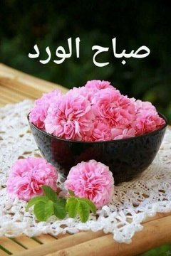 1_sakaus's tweet photo. @Adamwillso @CleuCleudete https://t.co/wUxQv9wbcU