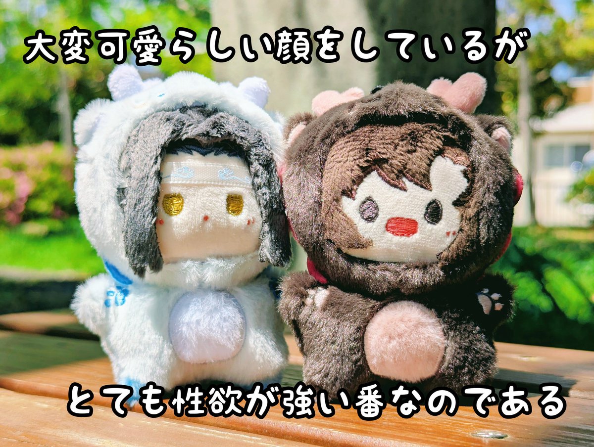 本日の🐉についてのTLハイライトを踏まえて推していきたい🐉🐉忘羨