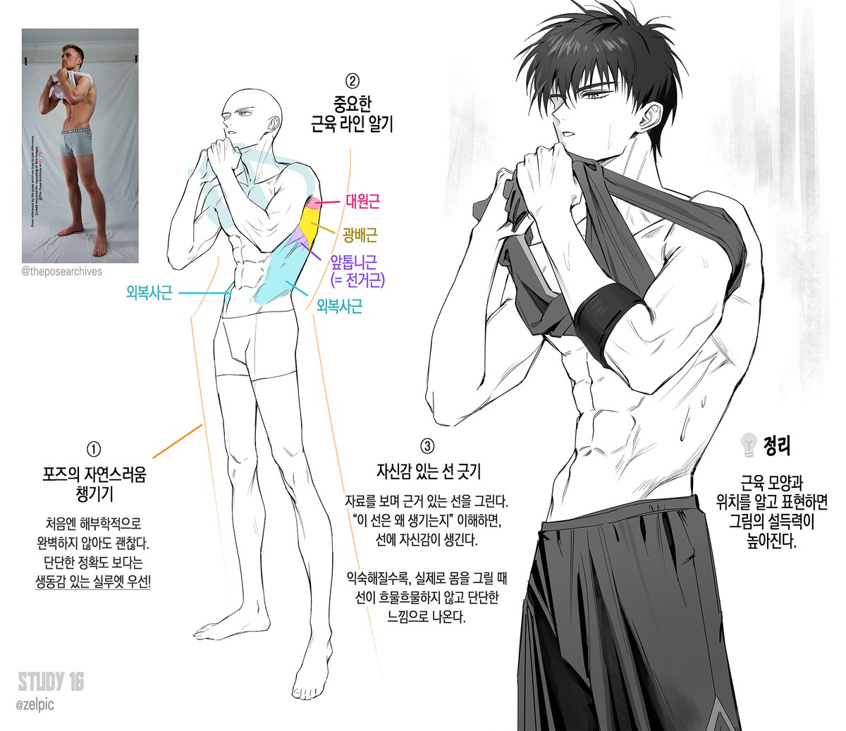 반측면 상반신을 그릴때 신경쓰면 좋은 포인트! (에서 좀 더 확장)
#zel_tip