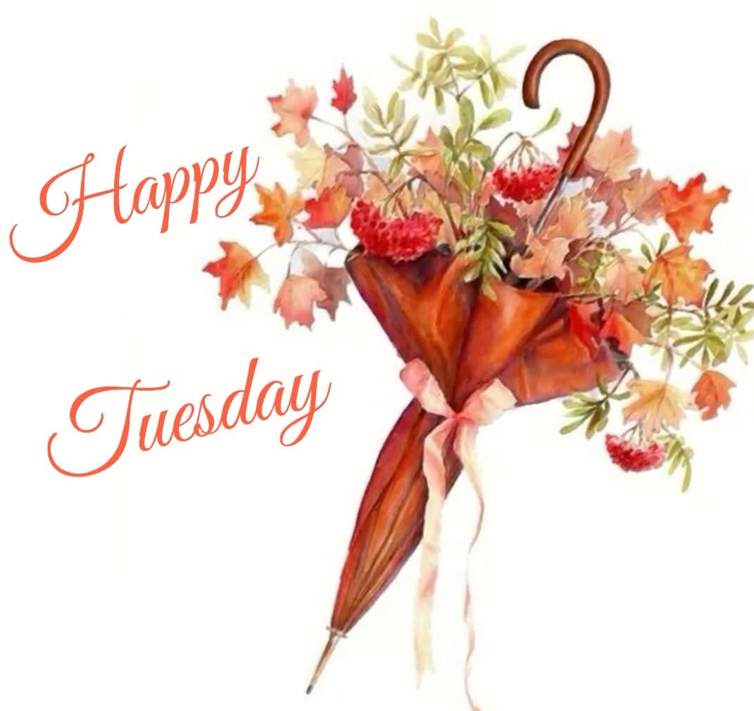 🧡💚Good morning my dear friends🌾🍃wishing you all a🍂🌼Terrific Tuesday💛💚😘